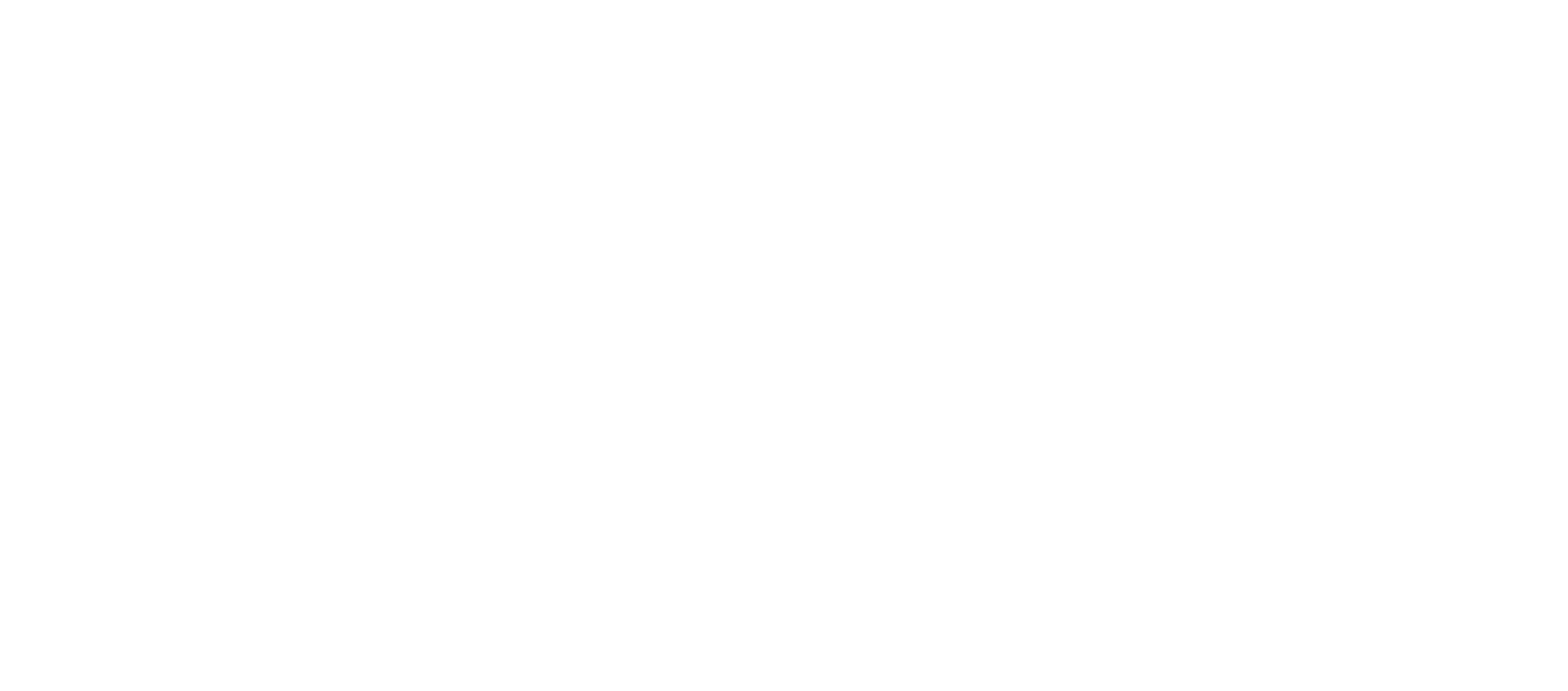 Logo C.N.I. Syrdall Schwemm